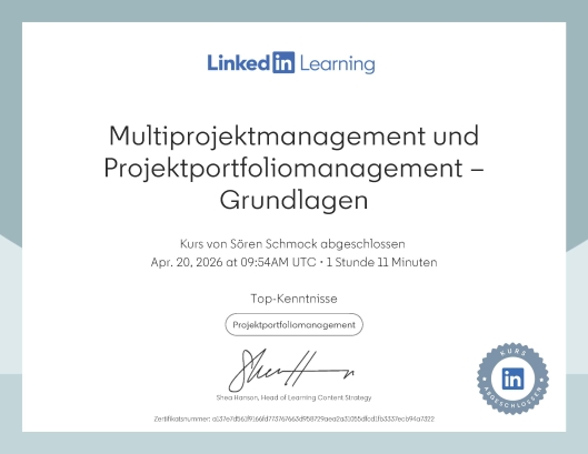 Multiprojektmanagement und Projektportfoliomanagement - Grundlagen